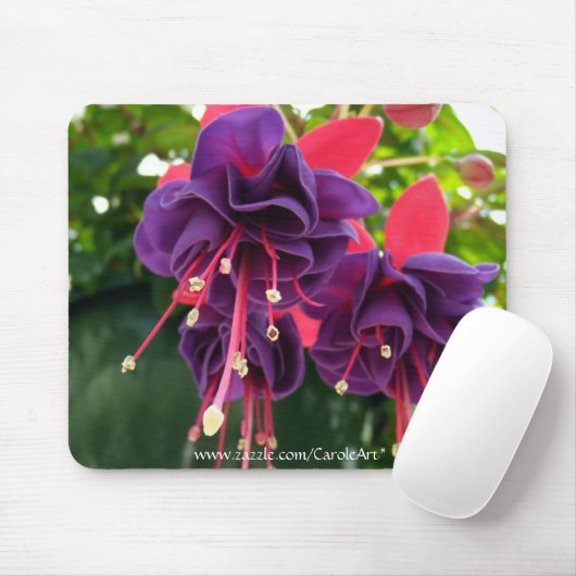 "Lila rosa Leidenschaft" Mousepad (Mit Mouse)