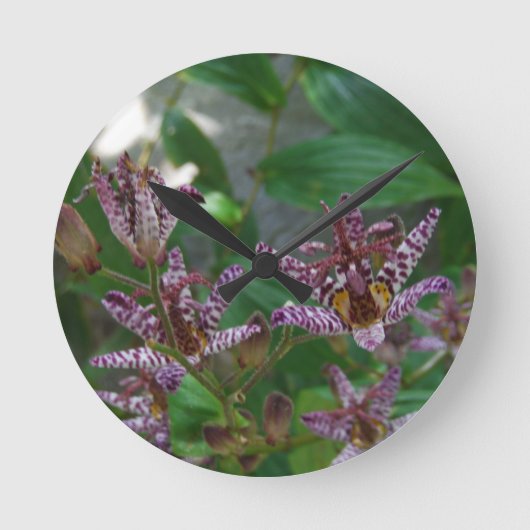 Lila rosa weiße gestreifte Orchidee mögen Blume Runde Wanduhr (Vorderseite)