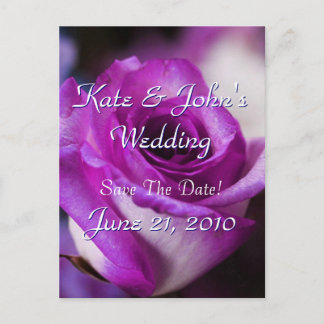 Lila Rose Ankündigungspostkarte