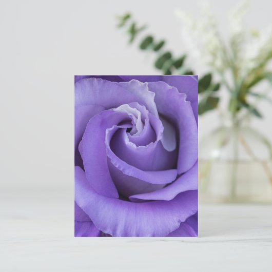 Lila Rose Blumenkarte Postkarte (Stehend Vorderseite)