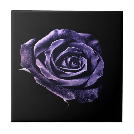 Lila Rose Fliese (Vorderseite)