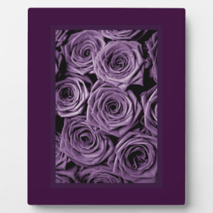 Lila Rose Fotoplatte
