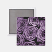 Lila Rose Magnet (Vorderseite/Rückseite)