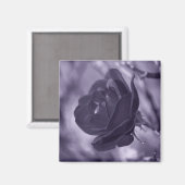 Lila Rose Magnet (Vorderseite/Rückseite)