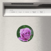 Lila Rose Magnet (In Situ (Geschirrspüler))