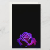 Lila Rose mit Wassertropfen auf schwarzem Grund Briefpapier (Vorne/Hinten)