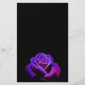 Lila Rose mit Wassertropfen auf schwarzem Grund Briefpapier (Vorderseite)