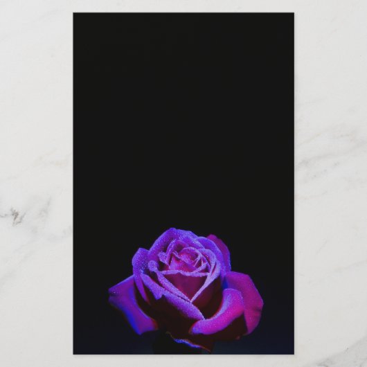 Lila Rose mit Wassertropfen auf schwarzem Grund Briefpapier (Vorderseite)
