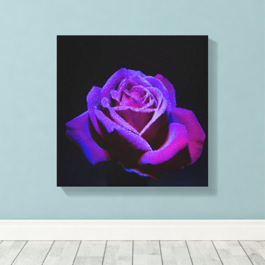 Lila Rose mit Wassertropfen auf schwarzem Grund Leinwanddruck (Insitu (Holzboden))