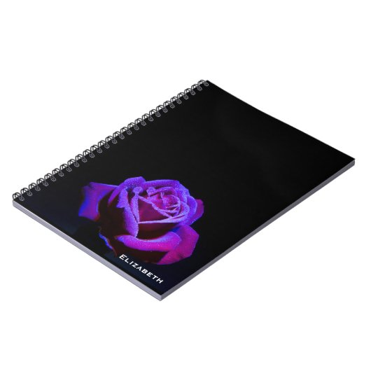 Lila Rose mit Wassertropfen auf schwarzem Grund Notizblock (Linke Seite)