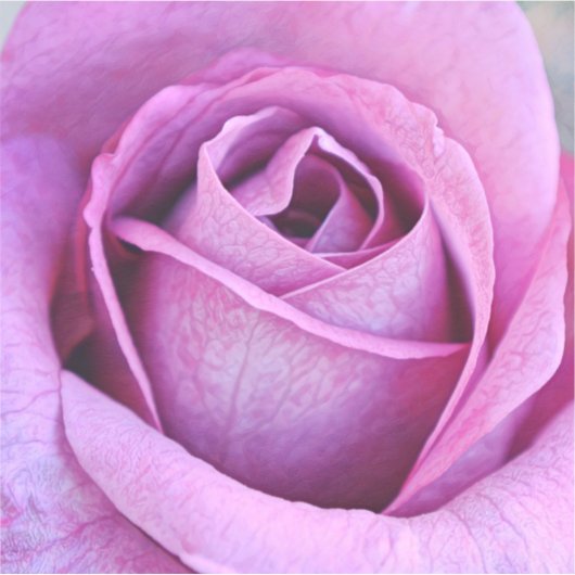 Lila Rose Nahe Art Großaufkleber Aufkleber (Vorderseite)