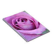 Lila Rose Petals aus Gertie's Garden Notizblock (Rechte Seite)
