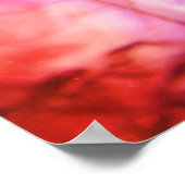 lila Rose Poster (Ecke)