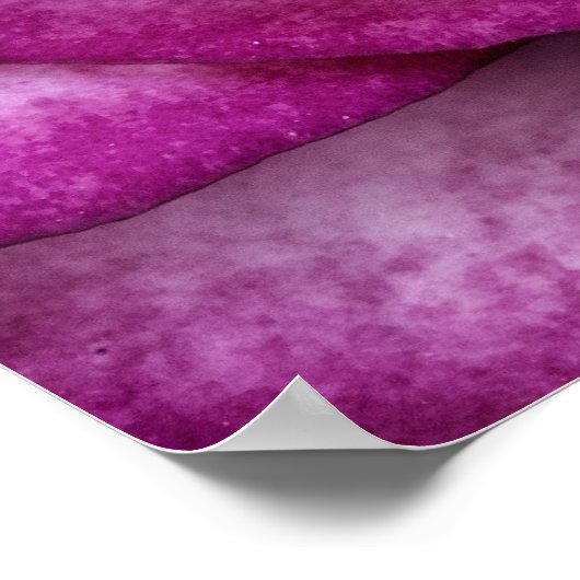 Lila Rose Poster (Ecke)