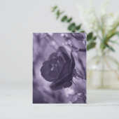 Lila Rose Postkarte (Stehend Vorderseite)