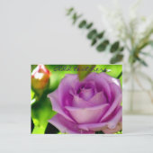 Lila Rose_ Postkarte (Stehend Vorderseite)