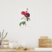 Lila Rose Rosa Gallica Pierre Joseph Redoute Poster (Küche)