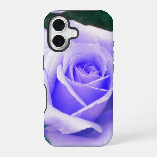 Lila Rose von Blasslavender iPhone 16 Hülle (Rückseite)