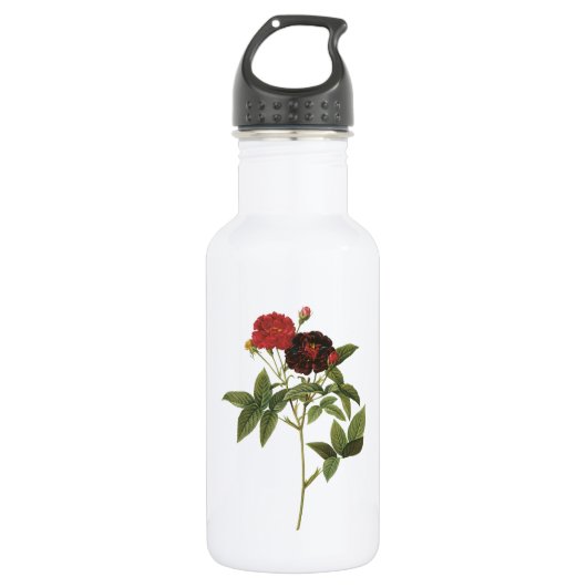 lila Rose von Redouté Trinkflasche (Vorderseite)