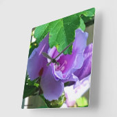 Lila Rose von Sharon oder von Hibiskus Syriacus Quadratische Wanduhr (Winkel)