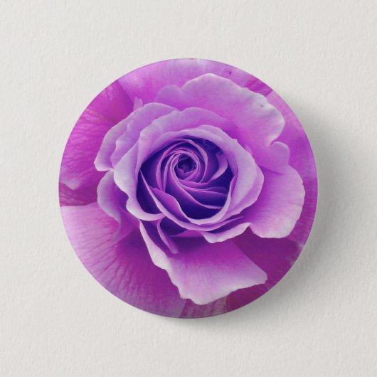 Lila Rosen-Knopf Button (Vorderseite)