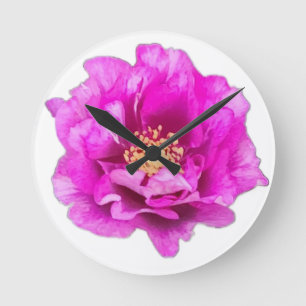Lila Rosen Uhr
