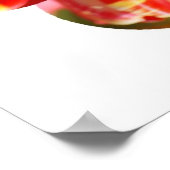 Lila, rote und gelbe Tulpen Poster (Ecke)