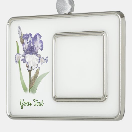 Lila Ruffled Iris Rahmen-Ornament Silber (Links)