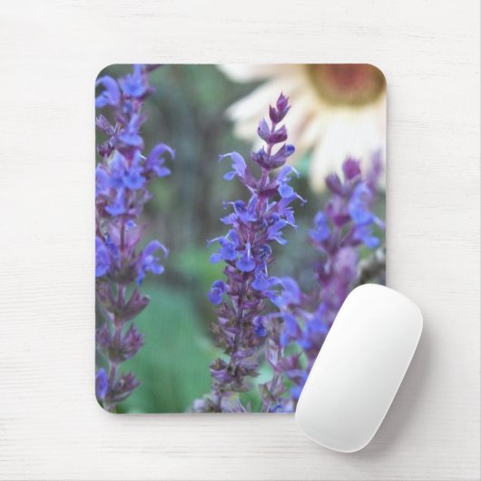 Lila Salvia Mouse Pad Mousepad (Mit Mouse)