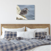 Lila Sandpiper Leinwanddruck (Insitu (Schlafzimmer))