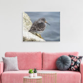 Lila Sandpiper Leinwanddruck (Insitu (Wohnzimmer))