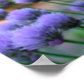 Lila Scallion Allianz Blume Orton Art Poster (Ecke)