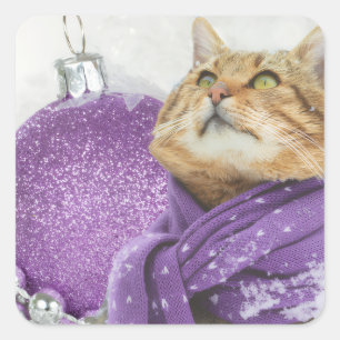 Lila-Schal-Winterkatzen-Aufkleber Quadratischer Aufkleber