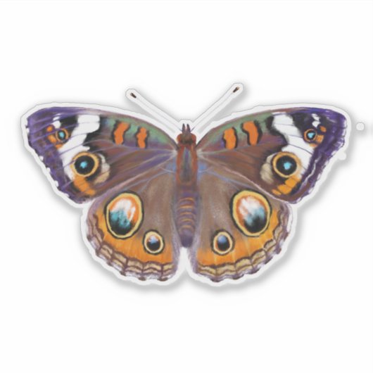 Lila Schmetterling Aufkleber (Vorderseite)