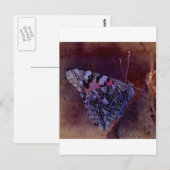 Lila Schmetterling Postkarte (Vorne/Hinten)