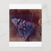 Lila Schmetterling Postkarte (Vorderseite)