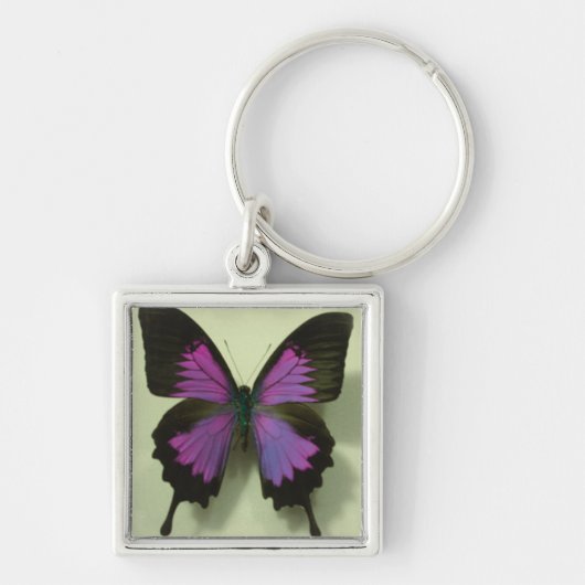 Lila Schmetterling Schlüsselanhänger (Vorne)