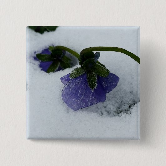 Lila Schneepause Button (Vorderseite)