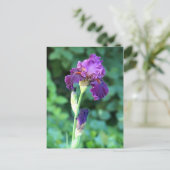 Lila Schönheit Postkarte (Stehend Vorderseite)