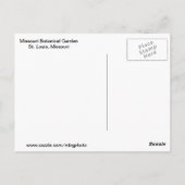 Lila Schönheit Postkarte (Rückseite)