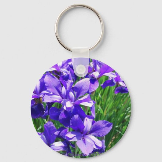 Lila Schönheit Schlüsselanhänger (Vorderseite)