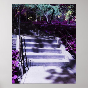 Lila Schritte durch die Violetten Blumen Poster