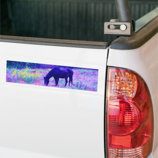 Lila Schwarzes Pferd im Regenbogenfeld Autoaufkleber (Auf Lkw)