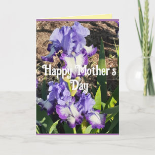 Lila Schwertlilie Iris Blumen Blumen Muttertagskar Karte