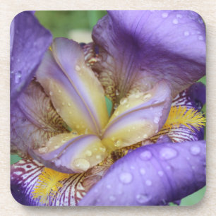 Lila Schwertlilie (Iris Germanica) Untersetzer