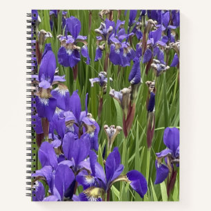 Lila Schwertlilien-Blumen Natur Pflanzen Fotografi Notizblock