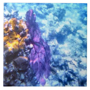 Lila Seefan-Fliese Fliese