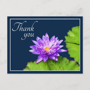 Lila Seerose und Blatt im blauen Wasser Danke Postkarte