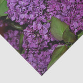 Lila Seidenpapier (Ausschnitt)