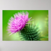 Lila Sickenplakat Poster (Vorne)